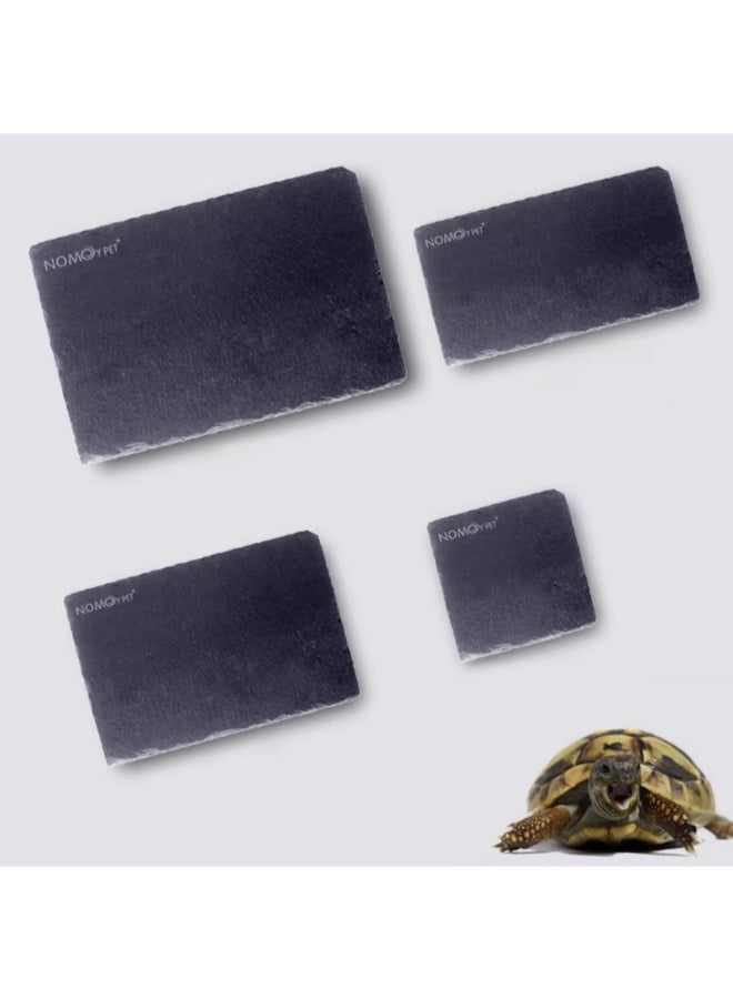 NomoyPet طبق طعام صخري للسلاحف والزواحف، مناسب لطحن الأظافر، متوفر بمقاسين: (30 × 15 سم) و (30 × 20 سم) - Image 2